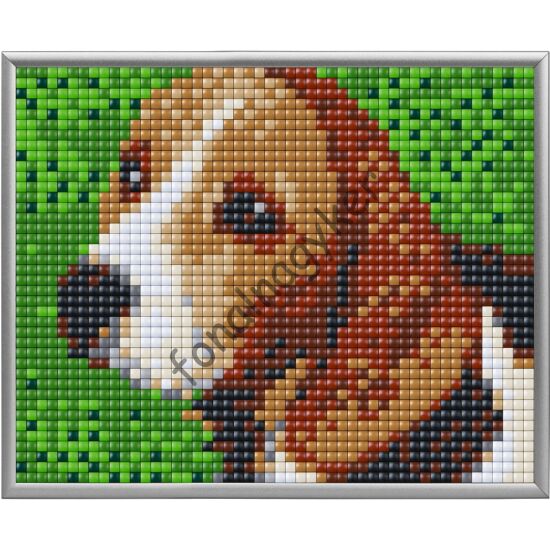 Pixel XL 4 alaplapos szett - Beagle