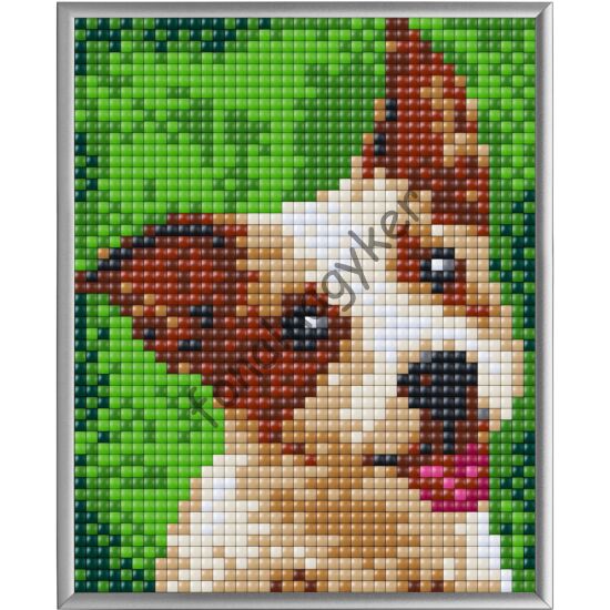 Pixel XL 4 alaplapos szett - Terrier